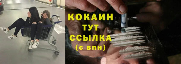 мдпв Вязьма