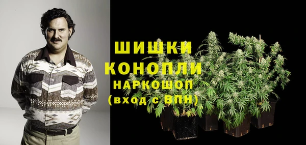 мдпв Вязьма