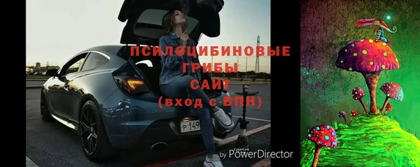 spice Вяземский