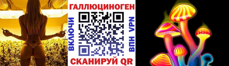 купить   Дмитров  Галлюциногенные грибы Psilocybe 